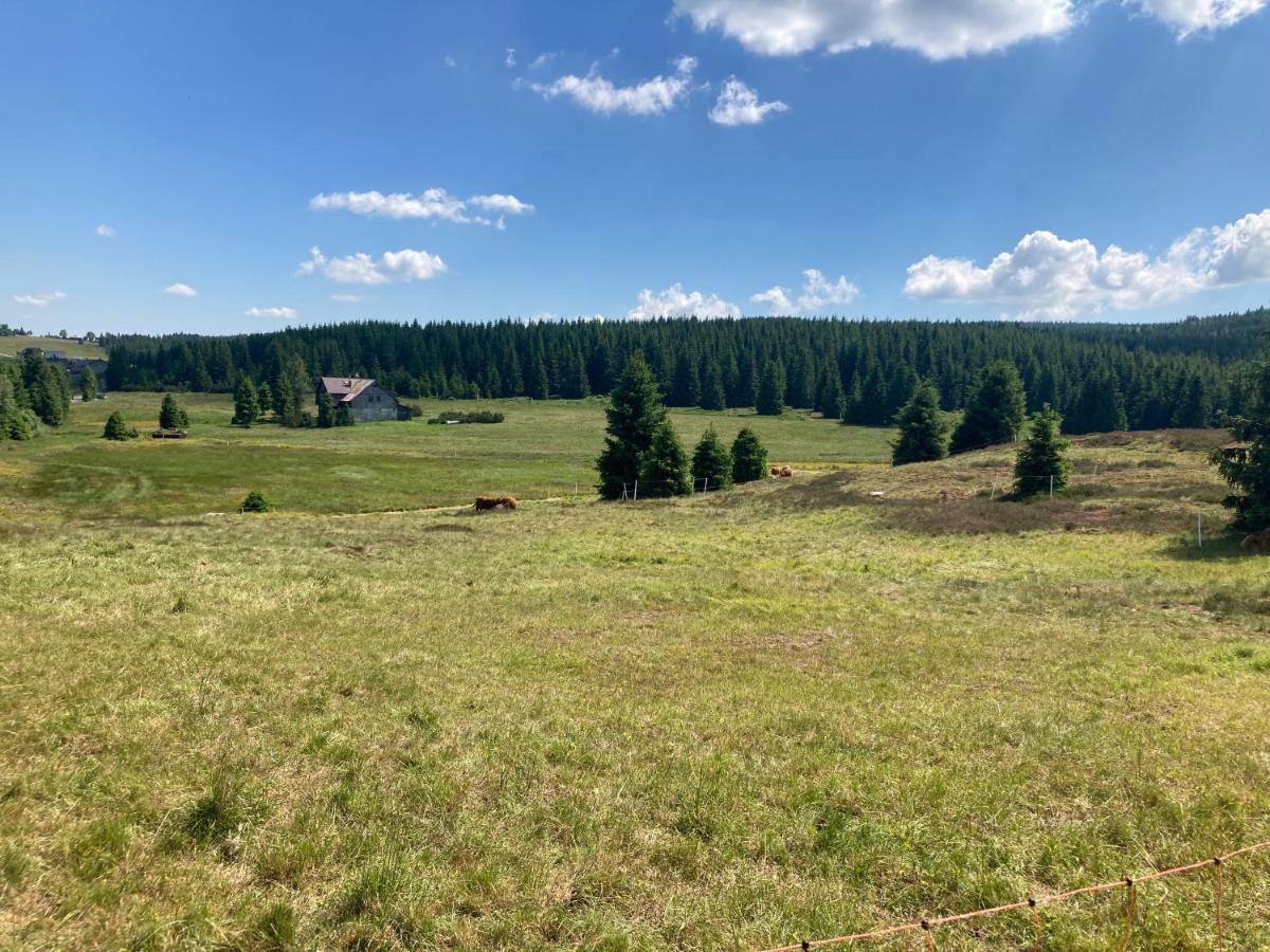 Apartmany V Lese Bedrichov  Bagian luar foto