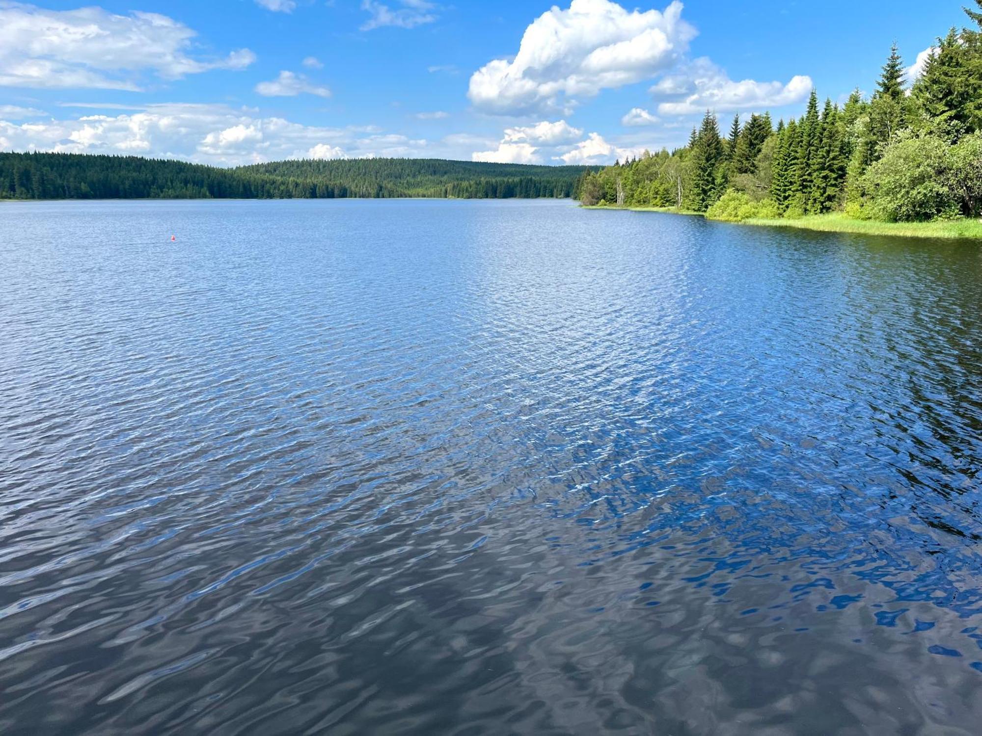 Apartmany V Lese Bedrichov  Bagian luar foto
