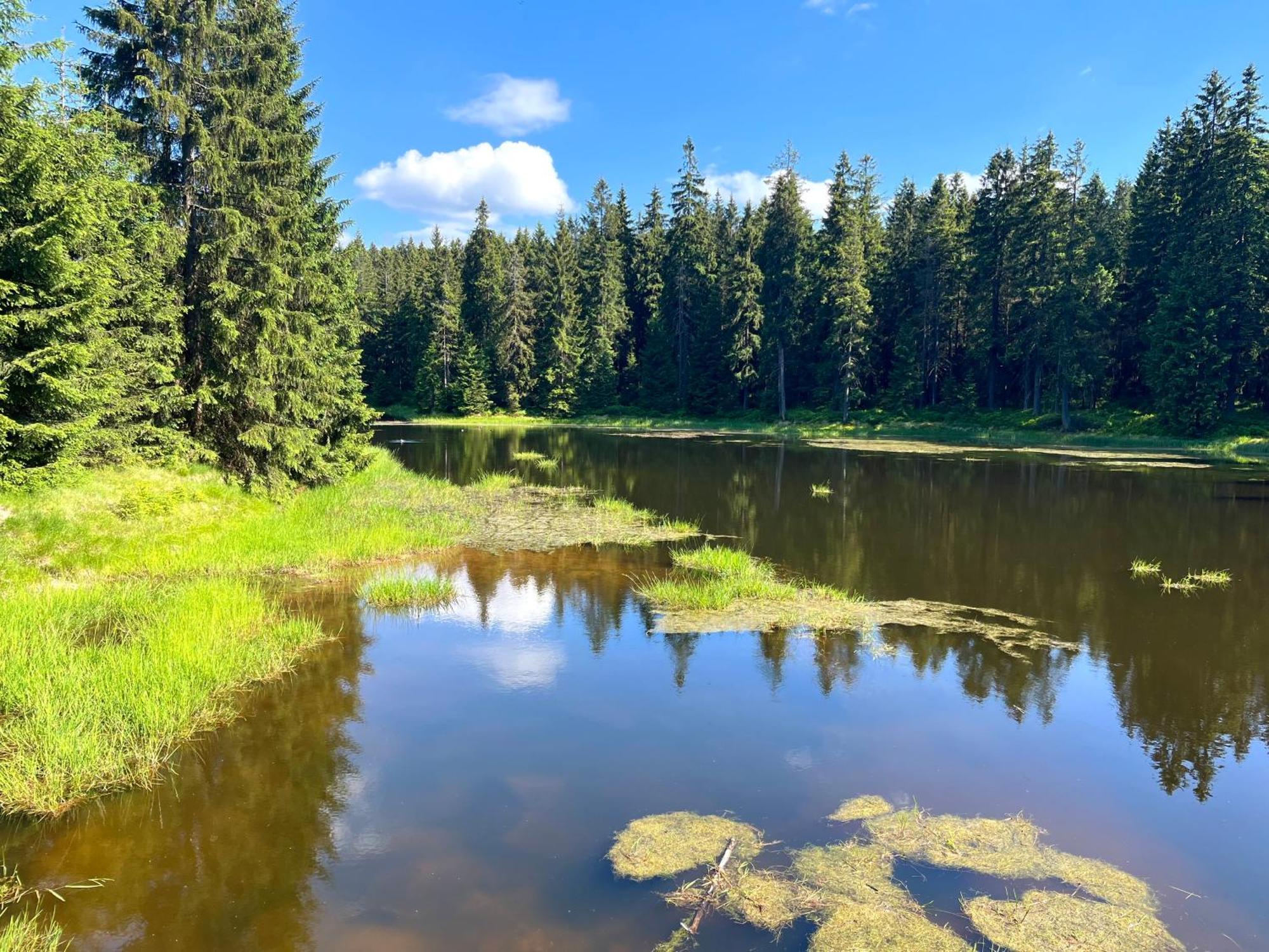 Apartmany V Lese Bedrichov  Bagian luar foto