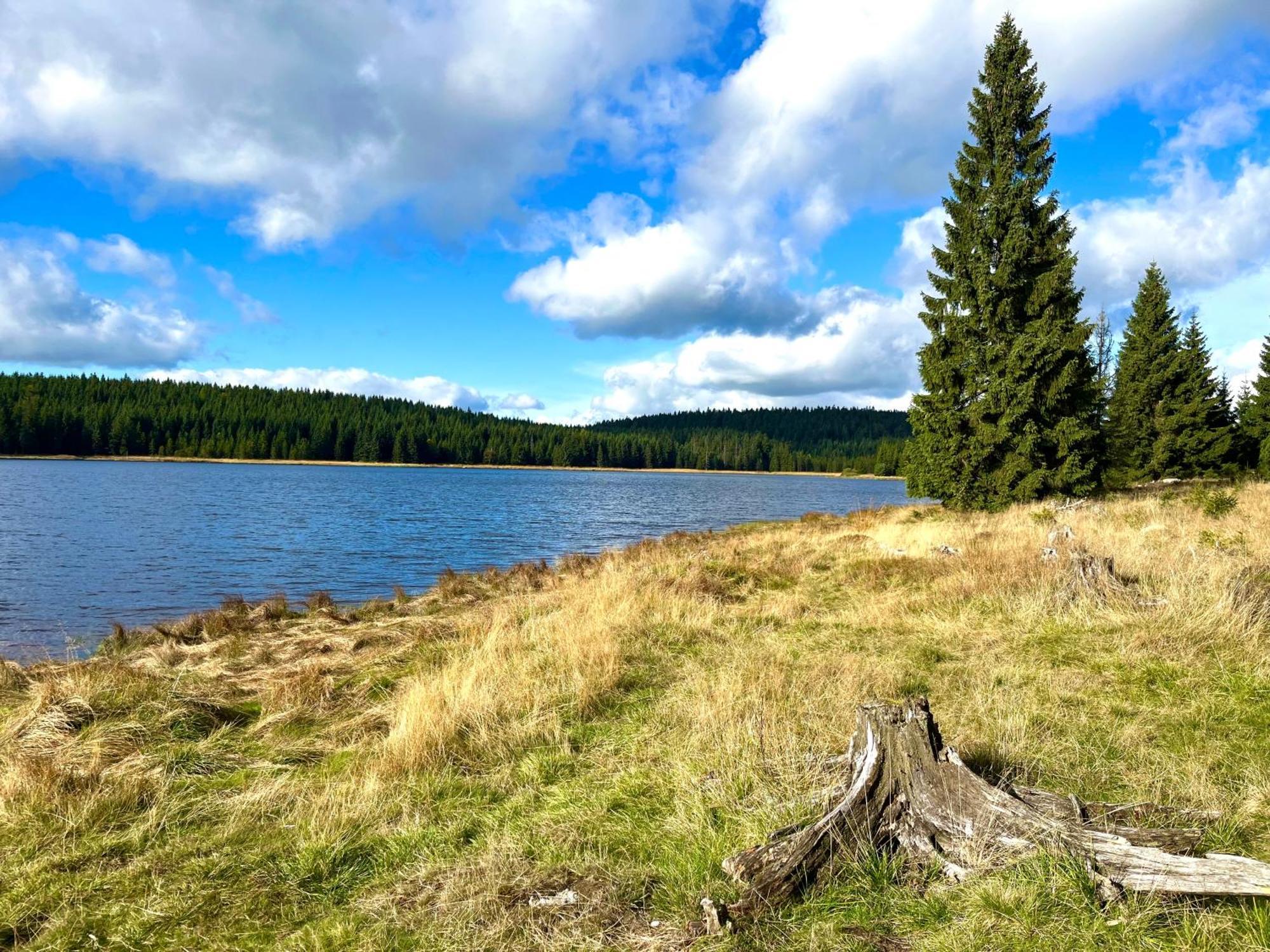 Apartmany V Lese Bedrichov  Bagian luar foto