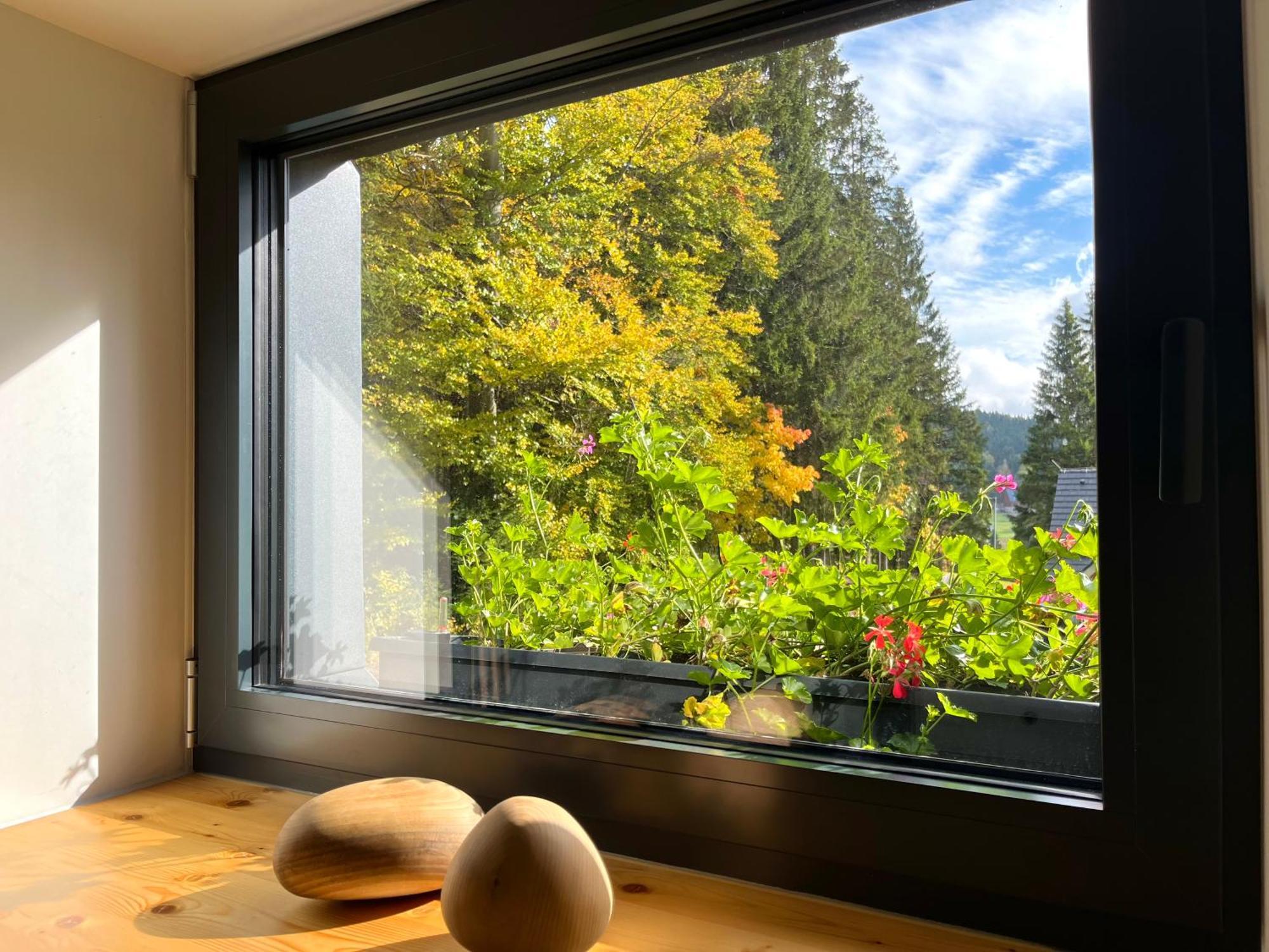 Apartmany V Lese Bedrichov  Bagian luar foto