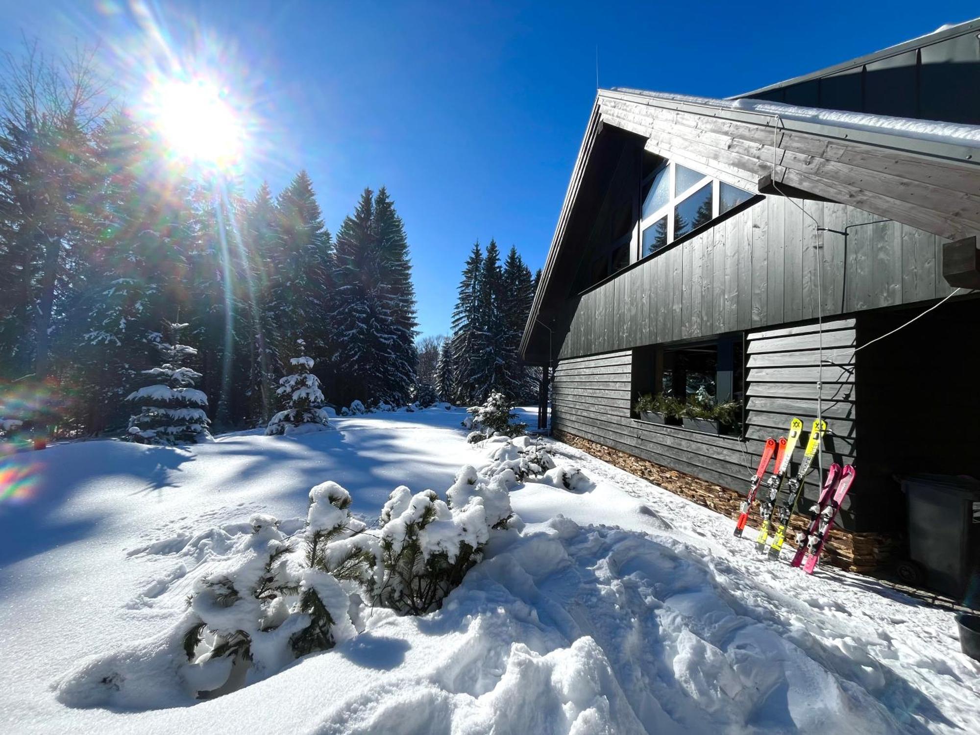 Apartmany V Lese Bedrichov  Bagian luar foto