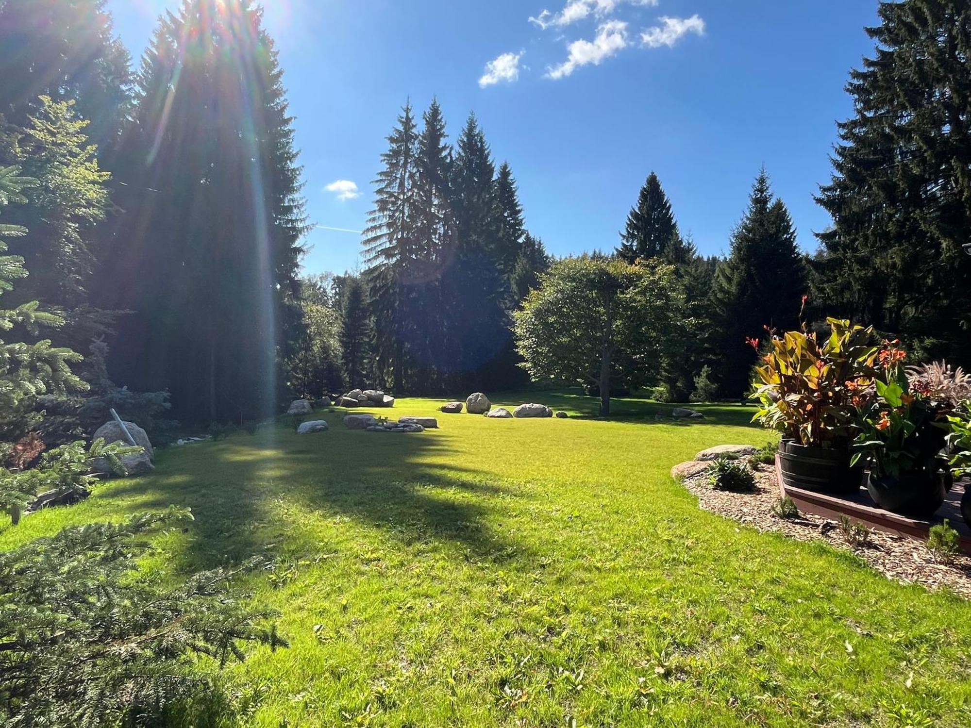 Apartmany V Lese Bedrichov  Bagian luar foto